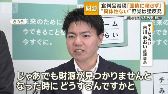 チームみらい　古川あおい政調会長