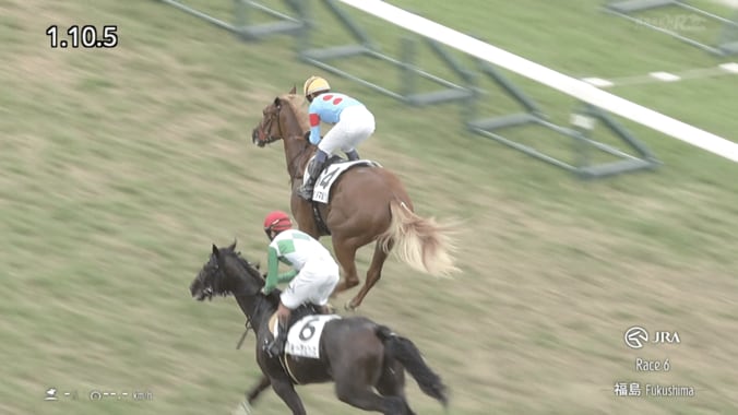 “しっぽ”に注目！ 希少かつ美しい注目ホース