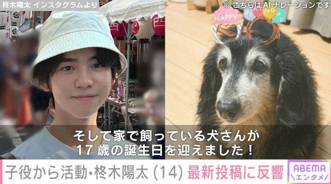 柊木陽太