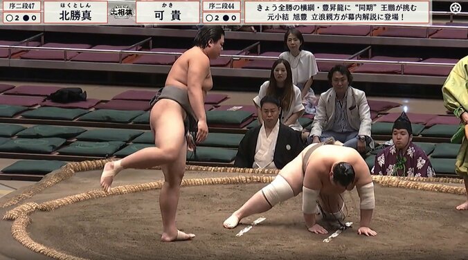 序二段四十四枚目・可貴（追手風）