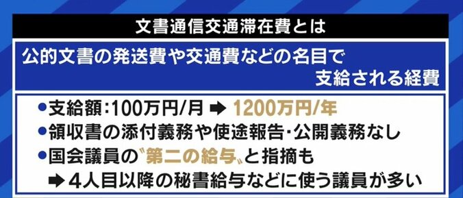 文書交通費100万円問題「寄付という発想は本当にやめて欲しい」 NHK党・立花党首が日本維新の会を批判するワケ 9枚目