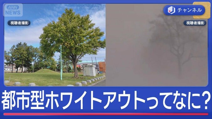 急増「都市型ホワイトアウト」ってナニ？ 1枚目
