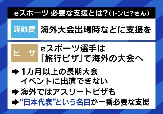 eスポーツ支援“シューティングゲーム”だけ除外？ 山下元法務大臣は報道を否定「一方的な規制には反対」 “キリング要素”の扱いは 7枚目