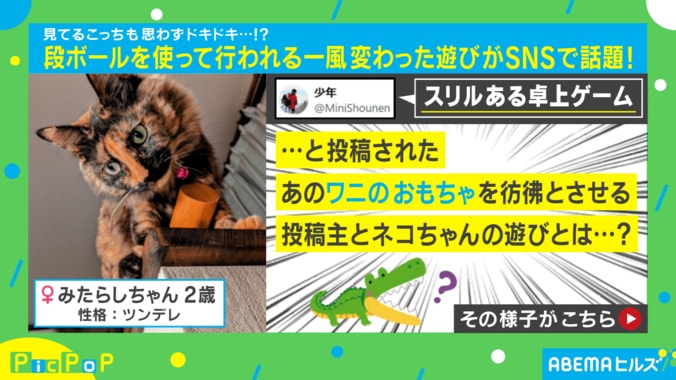 愛猫が“ワニのおもちゃ”のように飛び出す姿