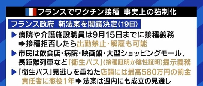 いよいよ日本でも“ワクチンパスポート”の申請がスタートへ…接種できない人や子どもたちとの分断を防ぐには 2枚目