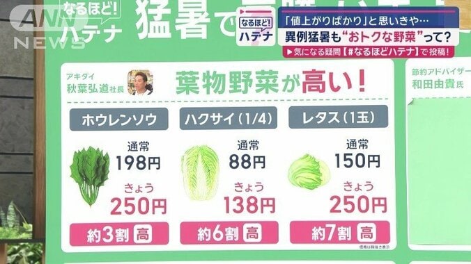 葉物野菜の価格が…