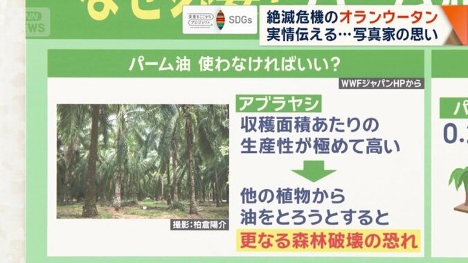 パーム油使わなければいい？