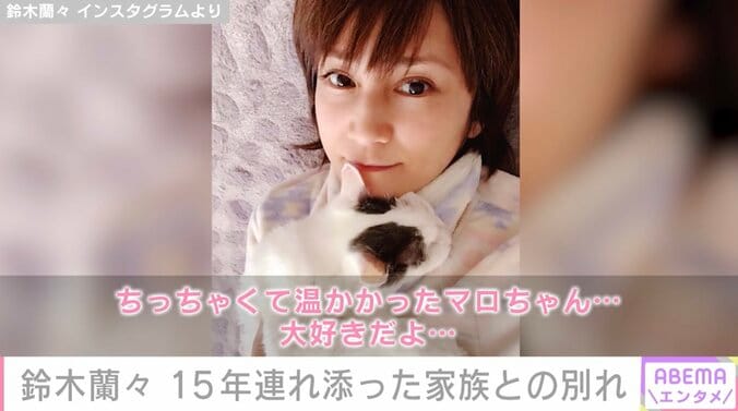 鈴木蘭々、15年連れ添った愛猫との別れを報告「ちっちゃくて温かったマロちゃん…大好きだよ…」 1枚目