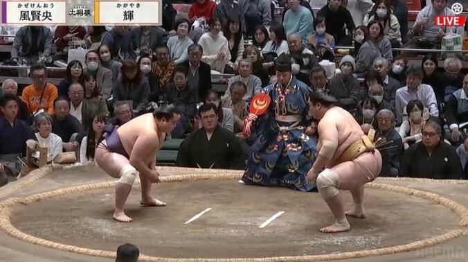 【写真・画像】　1枚目