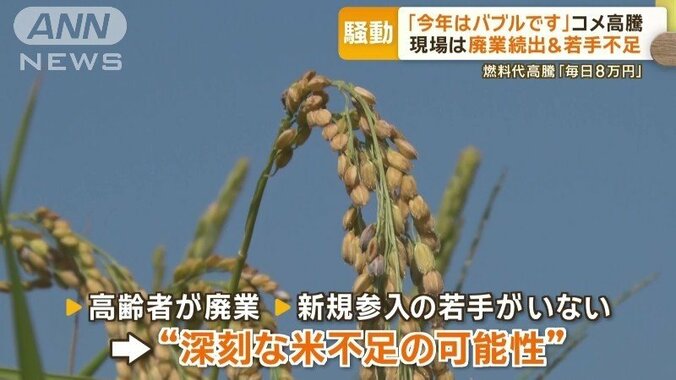 深刻なコメ不足に陥る可能性