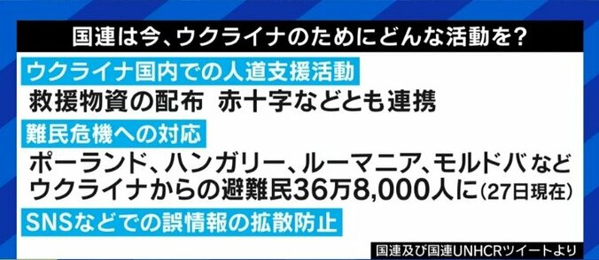 「プーチン大統領の個人資産や、ベラルーシへの速やかな制裁を」「日本政府ももっと踏み込むべきだ」国連安保理の専門家パネル委員を務めた古川勝久氏 3枚目