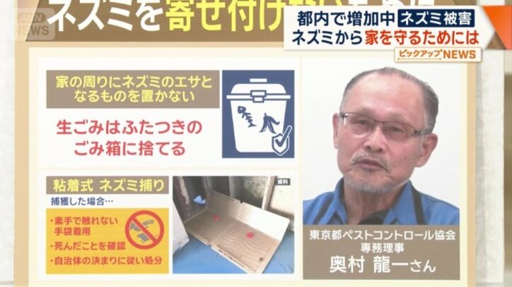 ネズミを寄せ付けないために