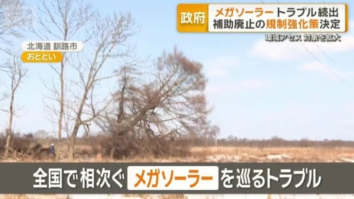 全国で相次ぐメガソーラーを巡るトラブル