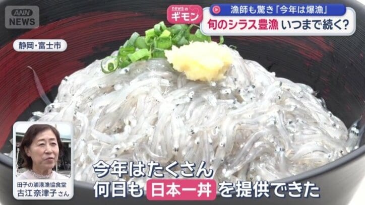 生シラスをこれでもかとのせた「日本一丼」
