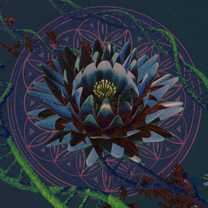 TOKIO SHAMANの首謀者、釈迦坊主が1年4ヶ月ぶりの新曲"loess"を配信開始!!