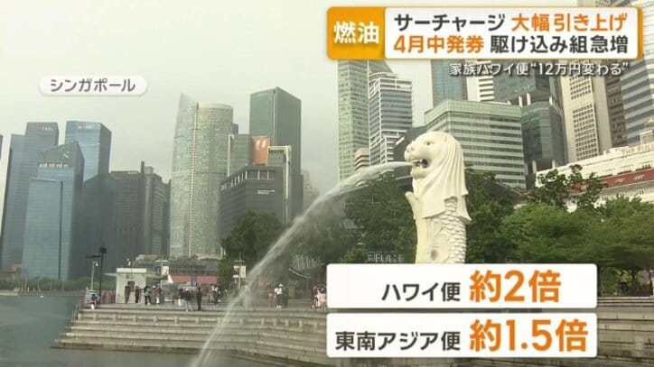 ハワイ便、東南アジア便の発券数増加