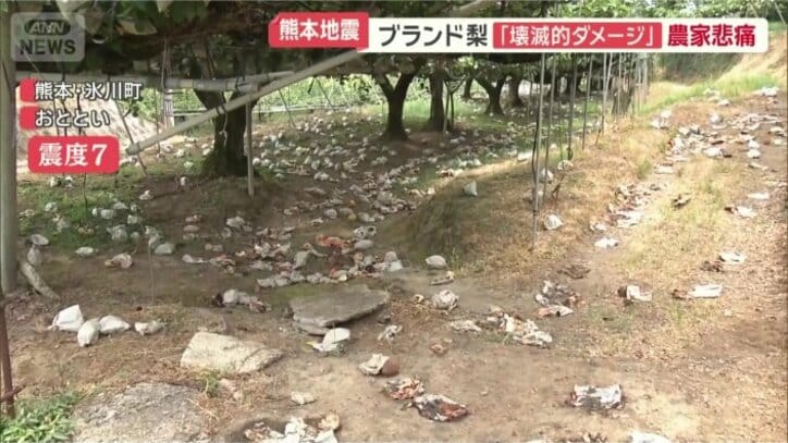 「壊滅的なダメージ」