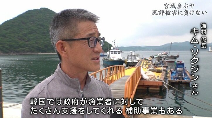 「日本産は信じられない」韓国で消えない福島第一原発事故の風評被害、それでも前を向く宮城のホヤ漁師たち