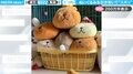 「賢すぎ!」ぬいぐるみの山から自分サイズの隙間を作り、スポッと入るウサギに「シンデレラフィットぶりが気持ちいい」「抜く量の判断も早い!」と絶賛の嵐