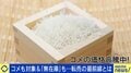 価格高騰するコメ…転売はアリ？10キロ5000円→1万円で販売する当事者「法に触れなければありだと思っている」