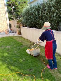 渡辺徹『夫婦で芝刈り』