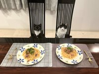 藤あや子『昨日の晩ごはん』