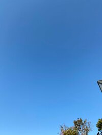 堀ちえみ『金曜日ですね！今週もあと1日ですよ！子供たちと楽しく過ごそう！』