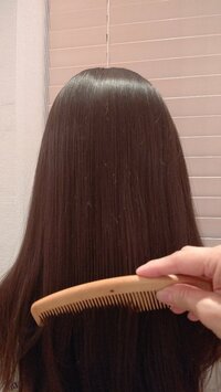 松本志のぶ『なぜ？』