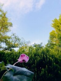 古村比呂『やりたい事とやれる事』