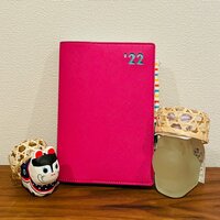 だいたひかる『出産予定日の変更』