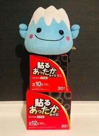 だいたひかる『夫は反対ぎみだったけれど…』