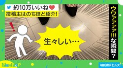 思わずヒヤッとする“食品サンプル” 本物そっくりで担当者もドギマギ「どこに置いても衝撃的」