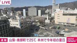 山梨・南部町で25℃ 本州で今年初の夏日