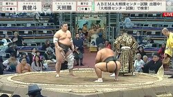 どうしてこうなった？ 力士の髷が大爆発…顔が見えなくなる珍事 ”超ワイルド”力士の誕生に「激しい…！」「なんかすごいことになってる」