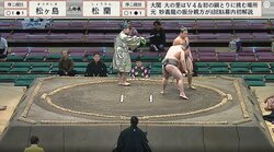 力士の“あまり見たことない”テーピング姿に心配と憶測広がる「どうした？」「痛々しい…」