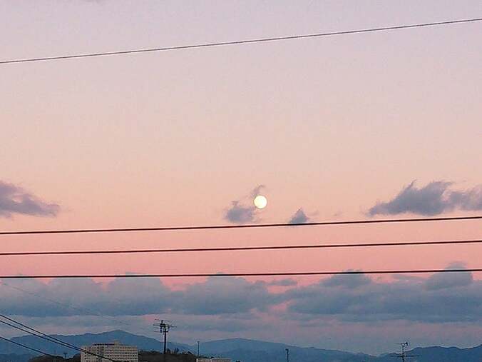 【画像】善本考香さん