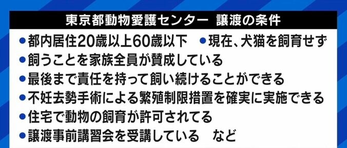 “月額380円で審査なし” 賛否の声があがる「ねこホーダイ」にNPO代表「所有権が不明確。死んでしまったら誰が責任を取るのか」 4枚目