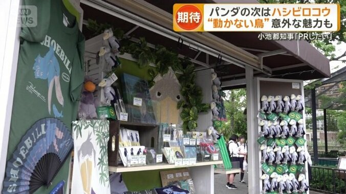 ハシビロコウグッズ