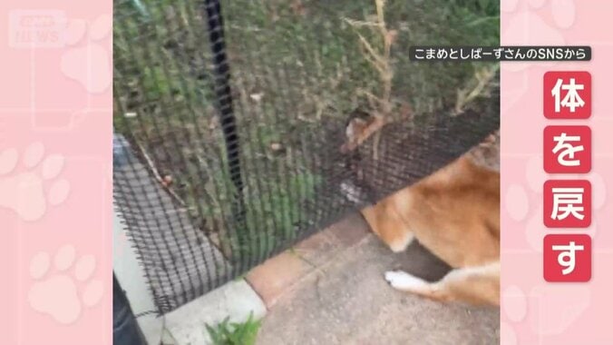 「何もしてないよ！」