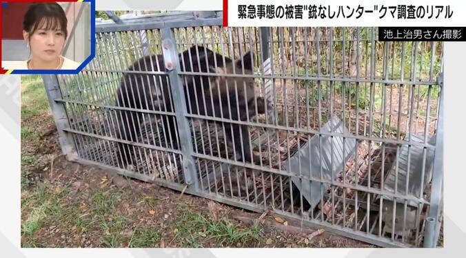 箱わな内で暴れるクマの様子