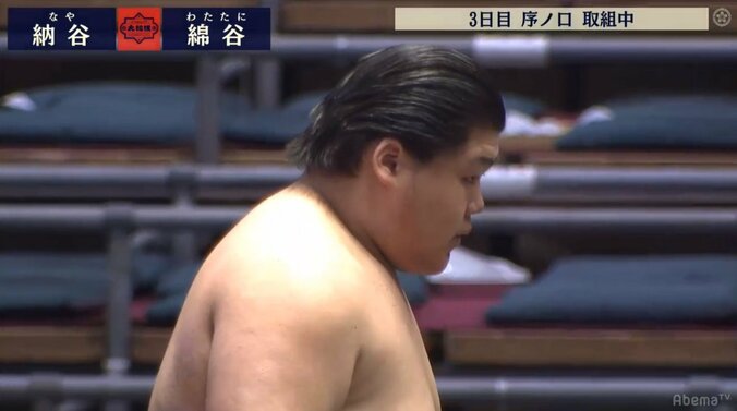 2日連続の秒殺！　大横綱・大鵬の孫、納谷が圧勝　序ノ口ではケタ違いのパワー 1枚目