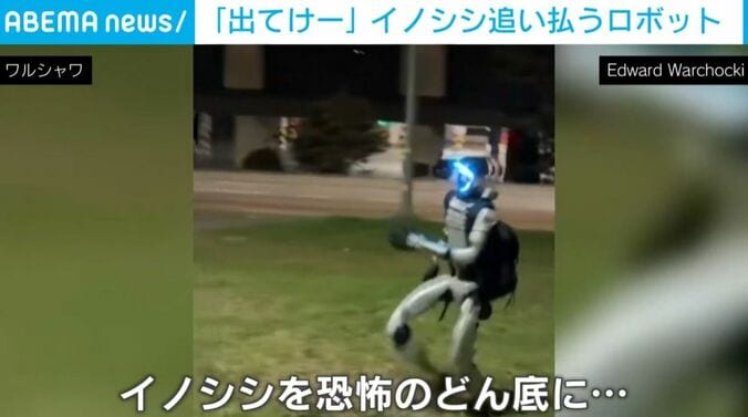 イノシシを追うロボット