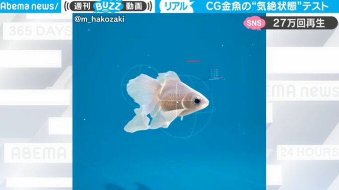 衝撃！ 1匹の金魚が泳いでいたら、突然気絶… 何があった！？  バーチャル金魚がリアルすぎるとネット上で話題に 1枚目