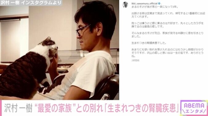 沢村一樹、愛猫とのあまりにも早い別れを報告「生まれつきの腎臓疾患でした」 1枚目