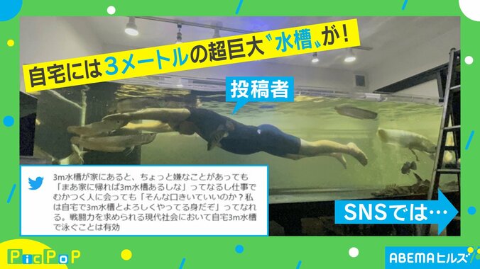 魚と泳げる3mの“超巨大水槽”を自宅に設置…規格外のサイズと存在感に「すごすぎる」驚きの声 1枚目