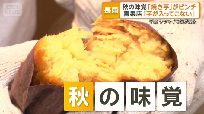 ホックホクに焼きあがった…