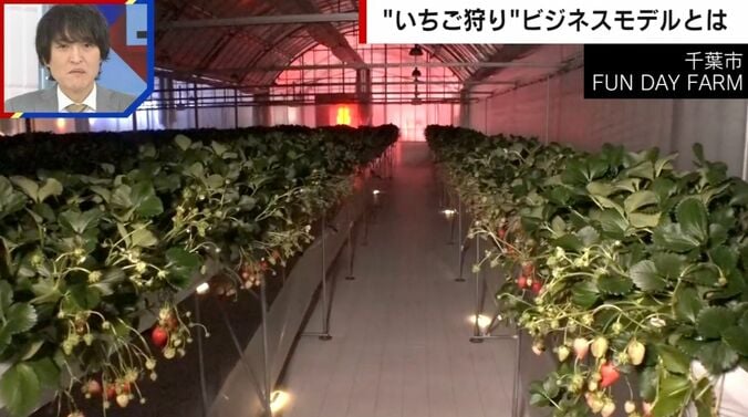 夜のいちご狩り