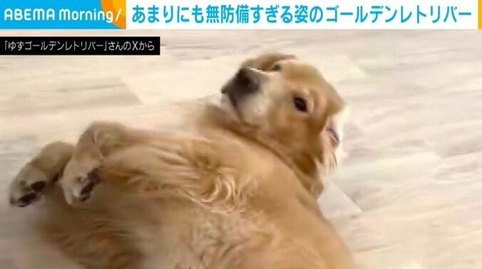 ゆずちゃん