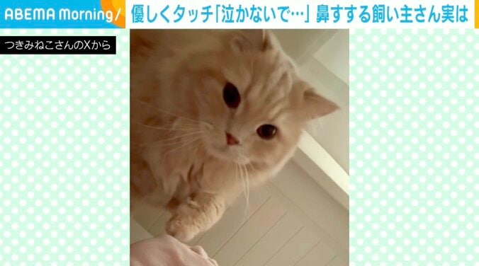 ラガマフィンのつきみくん