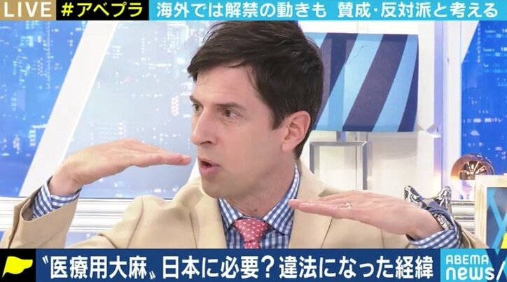 所持での検挙数が過去最多…日本でも「医療用大麻」を認めるべきなのか?賛成派・反対派の意見は